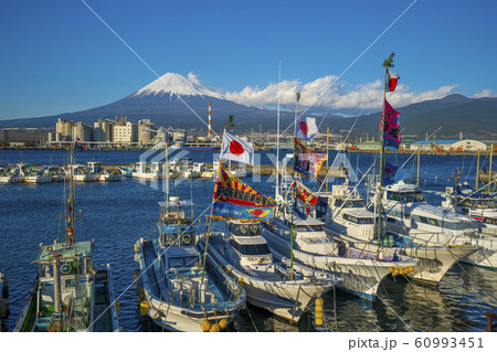 田子の浦港　初漁 60993451