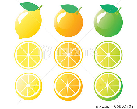 レモンとオレンジとライムの柑橘セットイラストのイラスト素材