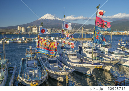 田子の浦港 初漁 田子の浦港 初漁 60993715