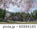 白川郷　明善寺鐘楼門の桜　横丁を見る　晴天2 60994165