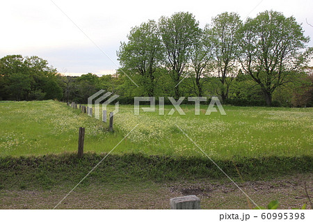 牧場の風景 　 ・・・+The Green farm+・・・　　 60995398