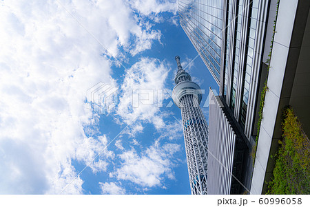 東京・天空のスカイツリーを見上げて 東京・天空のスカイツリーを見上げて 60996058