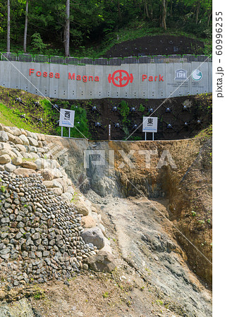 新潟_糸魚川静岡構造線(フォッサマグナ) 新潟_糸魚川静岡構造線(フォッサマグナ) 60996255