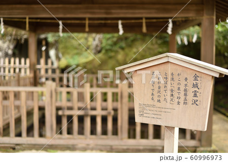 金城霊沢 金城霊沢 60996973