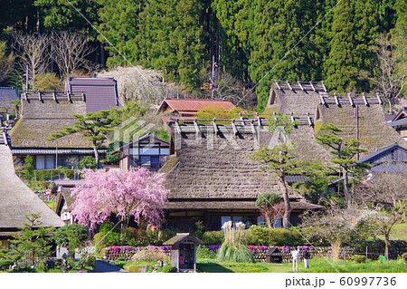 京都 南丹市 美山かやぶきの里 京都 南丹市 美山かやぶきの里 60997736
