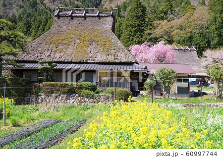 京都　南丹市　美山かやぶきの里 60997744