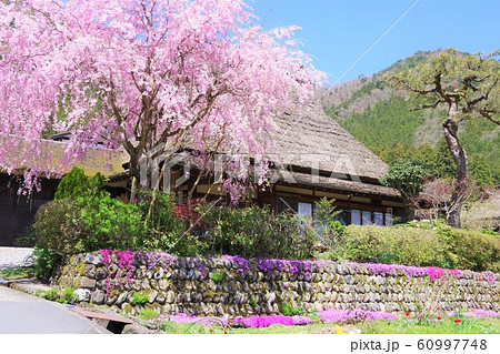 京都 南丹市 美山かやぶきの里 京都 南丹市 美山かやぶきの里 60997748