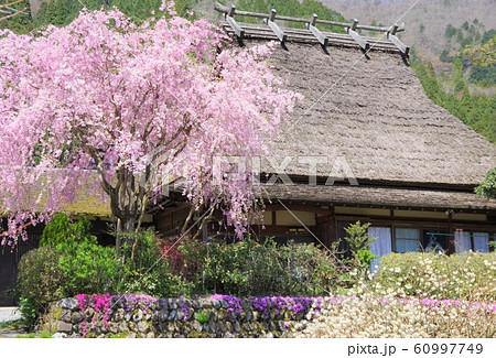 京都　南丹市　美山かやぶきの里 60997749