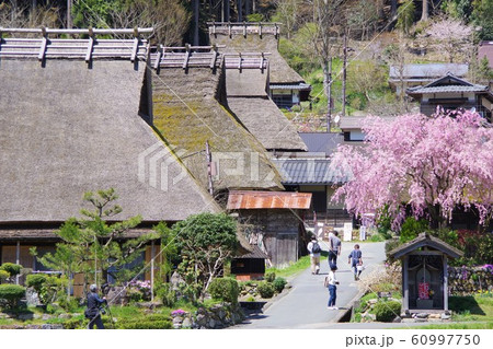 京都　南丹市　美山かやぶきの里 60997750