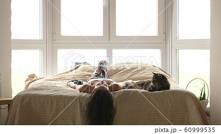 Young beautiful woman relaxing with her lovely Maine Coon cats laying in bed uses mobile phone by the window Young beautiful woman relaxing with her lovely Maine Coon cats laying in bed uses mobile phone by the window 60999535