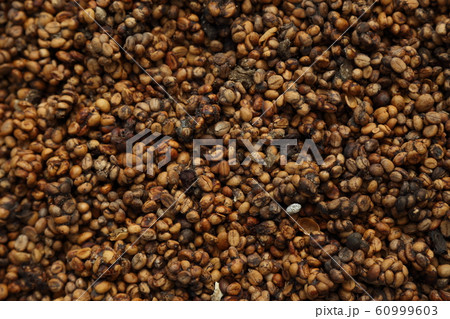 Coffee Bean Coffee Bean 60999603