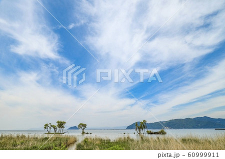 自然 琵琶湖 風景 自然 琵琶湖 風景 60999911