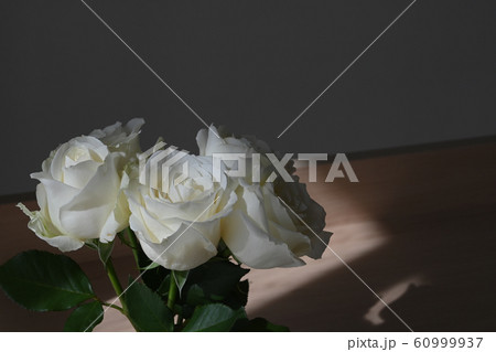 beautiful white rose flower blossom blooming decoration in vase 60999937