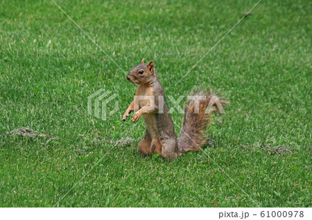 コロラド大学ボルダー校(University of Colorado at Boulder) 61000978