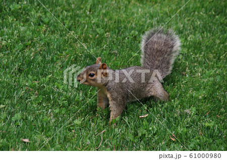 コロラド大学ボルダー校(University of Colorado at Boulder) 61000980