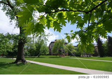 コロラド大学ボルダー校(University of Colorado at Boulder) 61000985