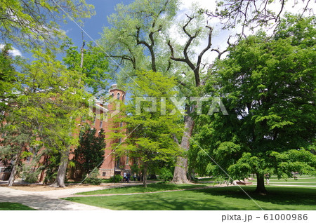 コロラド大学ボルダー校(University of Colorado at Boulder) 61000986