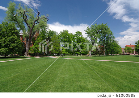 コロラド大学ボルダー校(University of Colorado at Boulder) 61000988