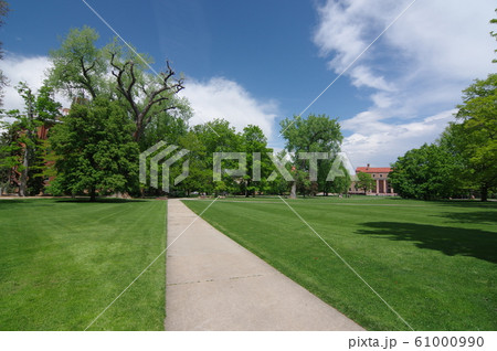 コロラド大学ボルダー校(University of Colorado at Boulder) 61000990