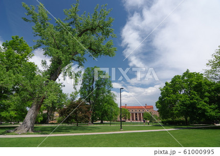 コロラド大学ボルダー校(University of Colorado at Boulder) 61000995