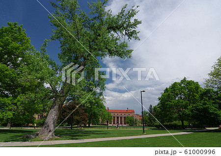 コロラド大学ボルダー校(University of Colorado at Boulder) 61000996