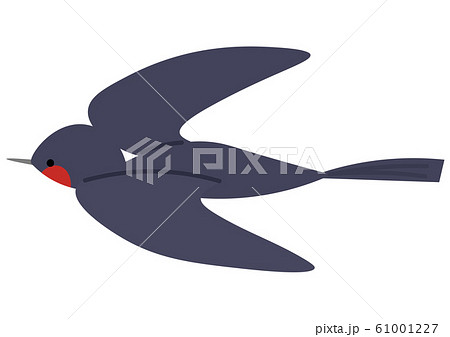 燕のイラストのイラスト素材 61001227 Pixta