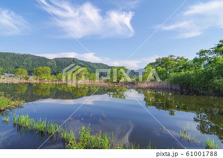 自然 風景 余呉湖 61001788