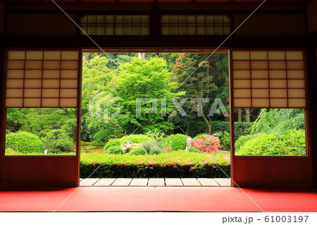 京都 雲龍院 京都 雲龍院 61003197