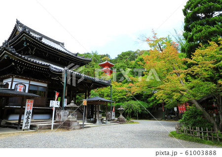 新緑の今熊野観音寺　 61003888