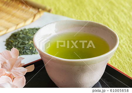 番茶 番茶 61005658