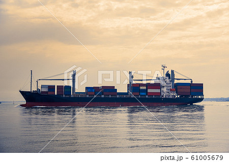 Cargo ships transporting containers in the evening 61005679