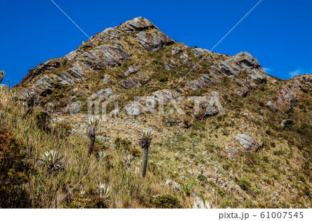 Beautiful landscape of Colombian Andean mountains showing paramo type vegetation Beautiful landscape of Colombian Andean mountains showing paramo type vegetation 61007545