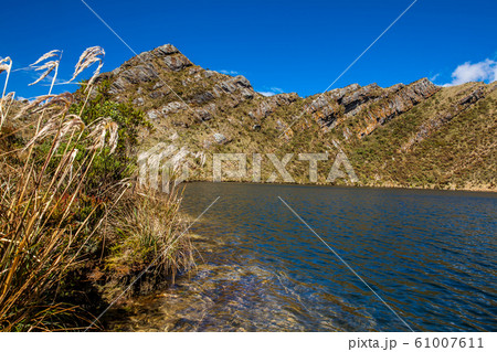 Beautiful landscape of Colombian Andean mountains showing paramo type vegetation 61007611