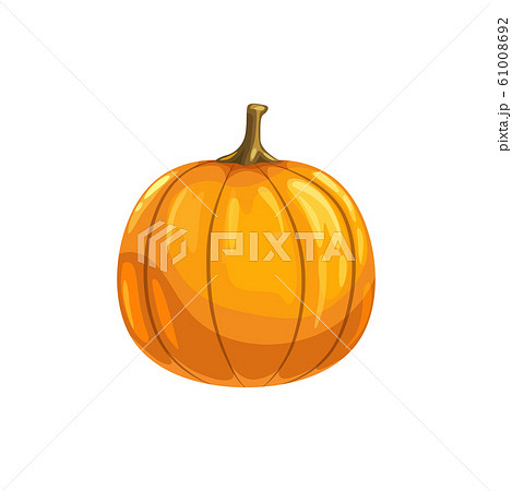 Gourd pumpkin symbol of Halloween and Thanksgiving 61008692
