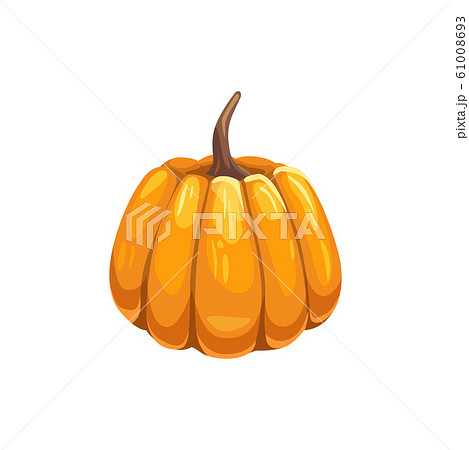 Gourd pumpkin symbol of Halloween and Thanksgiving 61008693