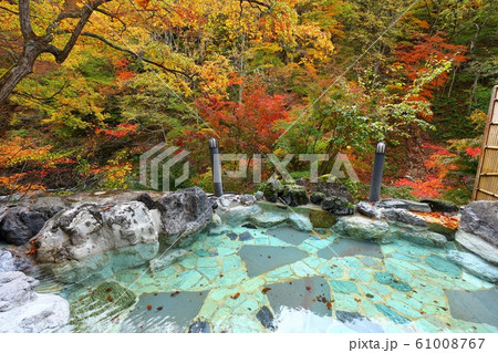 日本の秘湯　彩り湯かしき花と華 61008767