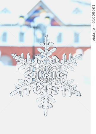 雪の結晶	 61009031