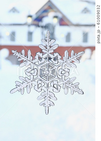 雪の結晶	 61009032