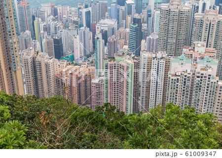 香港_ビクトリアピークの風景 香港_ビクトリアピークの風景 61009347