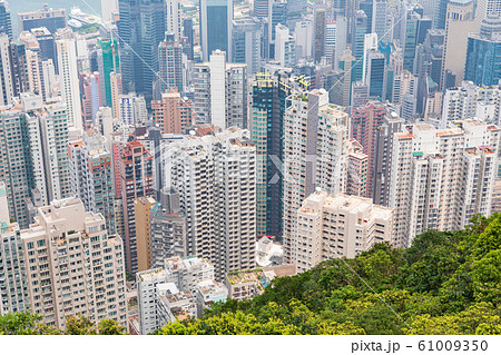 香港_ビクトリアピークの風景 香港_ビクトリアピークの風景 61009350