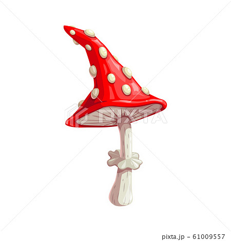 Mushroom icon, fly agaric, Halloween 61009557