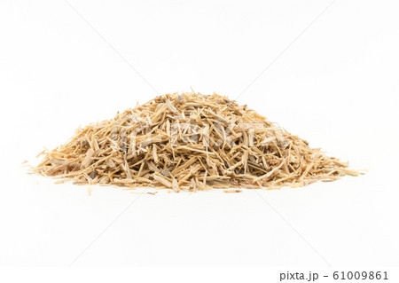 スーマ・ルート パフィア 乾燥ハーブ: Suma root (Pfaffia paniculata) スーマ・ルート パフィア 乾燥ハーブ: Suma root (Pfaffia paniculata) 61009861
