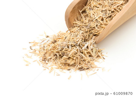 スーマ・ルート パフィア 乾燥ハーブ: Suma root (Pfaffia paniculata) スーマ・ルート パフィア 乾燥ハーブ: Suma root (Pfaffia paniculata) 61009870