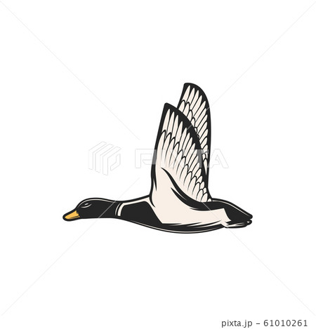 Duck Hunt Fowl And Wild Zoo Birdのイラスト素材