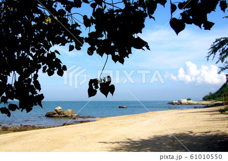 Blue aerial landscape on a light background. Turquoise sea background. Blue water background Blue aerial landscape on a light background. Turquoise sea background. Blue water background 61010550