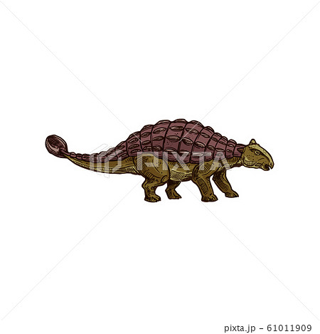Ankylosaurus Dinosaur Isolated Brown Dino Sketchのイラスト素材