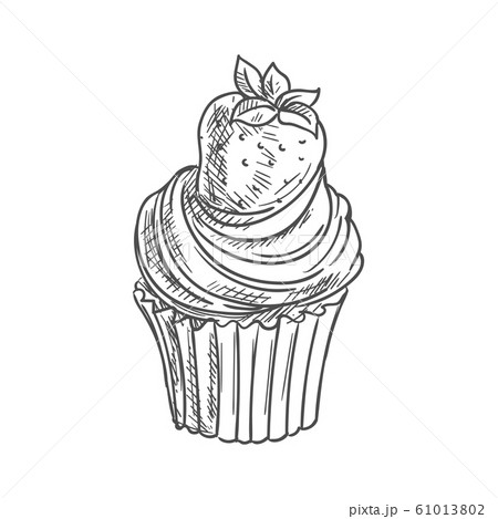 Strawberry Muffin Isolated Cupcake Dessert Sketchのイラスト素材