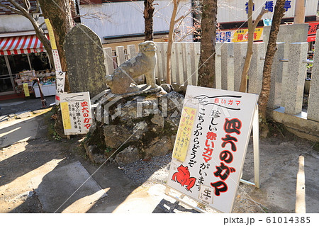 つくば道シリーズ、ガマの油売り 61014385