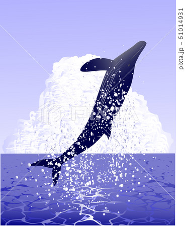 海洋、海、くじら 61014931