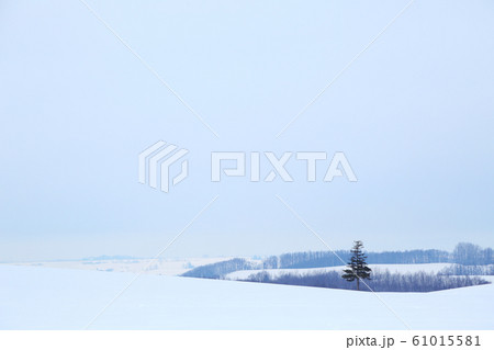 北海道の冬景色 61015581